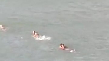 Banhistas são resgatados de afogamento em Ubatuba Guarda-vidas salvam banhistas de afogamento em praia de Ubatuba - Foto: Divulgação/ Águia PM