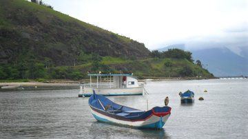Vista da praia do Camaroeiro, em Caraguatatuba Olá! Comece a semana bem informado com seu resumo de notícias Barquinhos de pesca com aves na praia do Camaroeiro, em Caraguatatuba - Esther Zancan