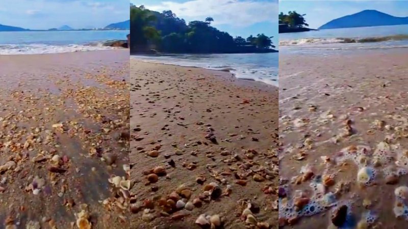 Vídeo registra faixa arenosa coberta de conchas banhadas pelo mar - Gui Miranda
