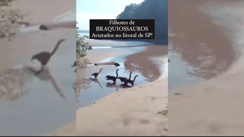 Dinossauros invadiram praia de Bertioga? Vídeo deixa internautas intrigados: será que o “Parque dos Dinossauros” fica em Bertioga? Quatis em praia de Bertioga dão a impressão de serem mini dinossauros - Reprodução/Instagram