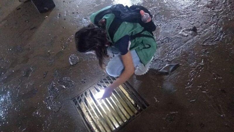 Divulgação/PMS