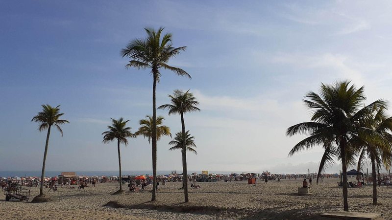 Coqueiros em tarde ensolarada na praia do Canto do Forte, em Praia Grande Olá! Seu resumo de notícias deste Dia dos Avós acaba de chegar - Esther Zancan