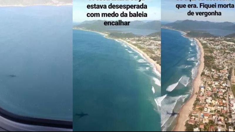 Na sequência de imagens, é possível entender um pouco a linha de raciocínio da passageira confusa Mulher confunde sombra de avião com baleia e web não perdoa Sequência de imagens feitas da janela do avião da tal "baleia" no mar - Reprodução/Twitter