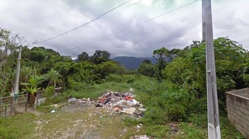 De acordo com o inspetor da Guarda Ambiental, Fábio Marques, o homem detido foi enquadrado no Artigo 38- A da Lei de Crimes Ambientais Desmatamento em massa é impedido em Praia Grande De acordo com o inspetor da Guarda Ambiental, Fábio Marques, o homem det - Google Street View / R. Maria Domingas Santos Reis