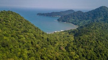 Parque Estadual Xixová-Japuí completou 29 anos na última terça-feira (27) Parque Estadual Xixová-Japuí completa 29 anos e passeio monitorado será sorteado Parque Estadual Xixová-Japuí visto do alto - Divulgação/Prefeitura de São Vicente