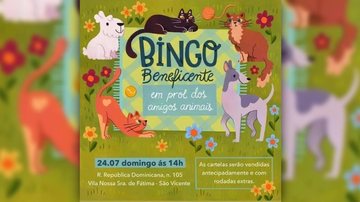 Sandra possuí dezenas de animais sob seus cuidados, muitos resgatados em situação lastimável de saúde, sendo necessário tratamento veterinário de alto custo Atualmente, Sandra possuí dezenas de animais sob seus cuidados, muitos resgatados em situação lasti - Sandra Alvarenga