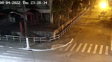 Cavaleiro tentou fugir montando em seu cavalo, mas foi cercado por viaturas - Divulgação / GCM