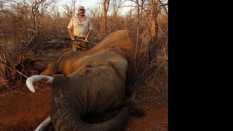 Riaan tinha uma empresa especializada em promover passeios para que os clientes caçassem animais Riaan com um elefante Homem de pé com um elefante morto na savana africana - Reprodução