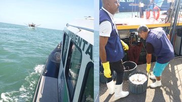 Autorização de pesca da embarcação estava vencida Mais de 300 kg de camarão são apreendidos por pesca irregular em Praia Grande Momento em que embarcação foi avistada e parte do camarão sendo retirada do barco - Comunicação Social da Polícia Marítima de SP