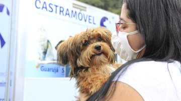 Castração é realizada em cachorros e gatos a partir dos quatro meses de idade Castramóvel de Guarujá Mulher de máscara com um cachorro na mão - Divulgação
