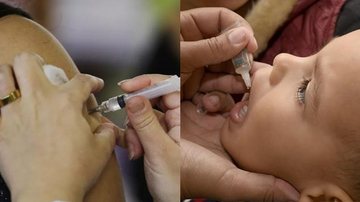 Cidades da Baixada Santista promovem o Dia D de imunização contra diversas doenças - Reprodução/Internet