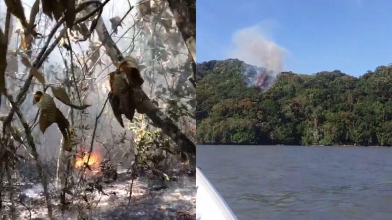 URGENTE: área de morro pega fogo na Prainha Branca, em Guarujá Incêndio no guarujá - Portal Costa Norte