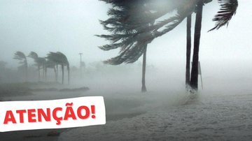 Segundo o MetSul, o cenário é bem preocupante para os litoral de São Paulo até sexta (16) Litoral de SP em alerta Coqueiros balançando com forte vento à beira-mar e mensagem de "atenção!" em vermelho no canto inferior esquerdo - Montagem/Reprodução internet
