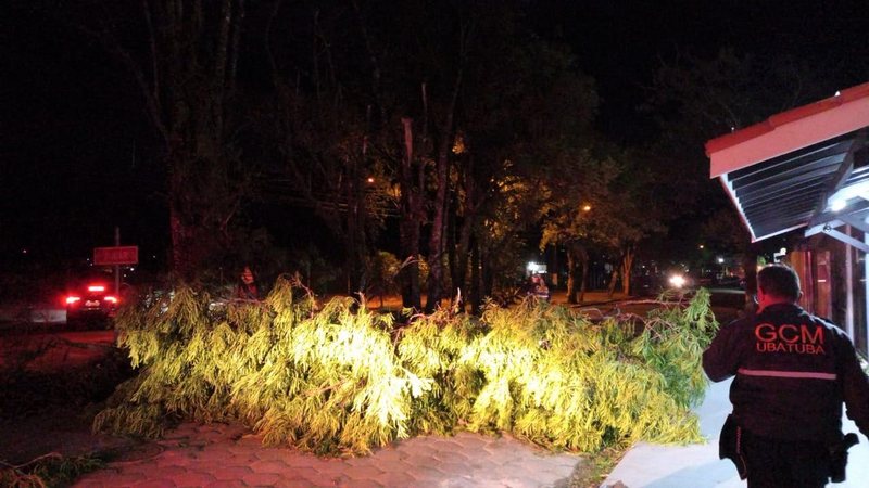 Cidade registrou doze ocorrências de quedas de árvores, sem registro de feridos Ubatuba registra ventos de 90 km/h durante passagem de ciclone extratropical Árvore caída durante a madrugada em Ubatuba, após passagem de ciclone, com agente da GCM de Ubatuba - Prefeitura de Ubatuba