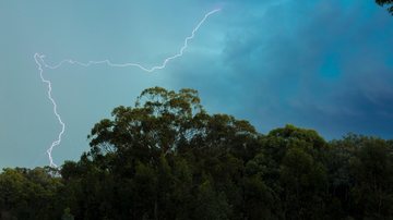 Segundo Climatempo, há a possibilidades de raios na Baixada Santista nesta quarta-feira (14) Meteorologia faz alerta para chuva forte na Baixada Santista nesta quarta (14) Raio cruzando o céu em local de mata - Imagem ilustrativa/Pexels
