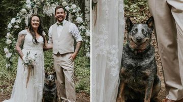 Cão sorri em foto de casamento e viraliza - Reprodução