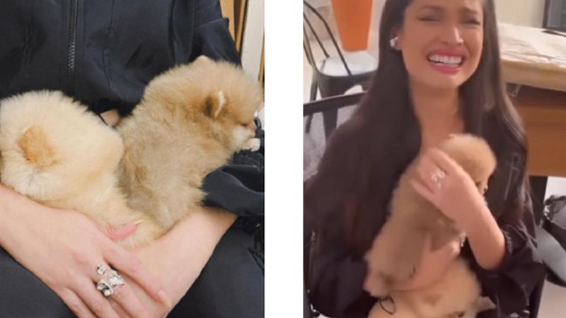 Ex-BBB publicou em suas redes sociais registros com os novos moradores da casa - dois cachorros de raça Juliette Freire Ex-BBB com dois cachorros bebês, de raça, nas mãos - Reprodução