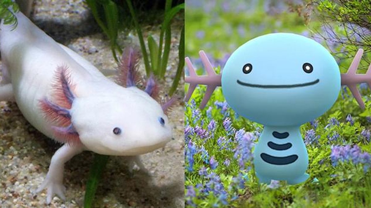 20 animais e plantas que são Pokémon do mundo real 