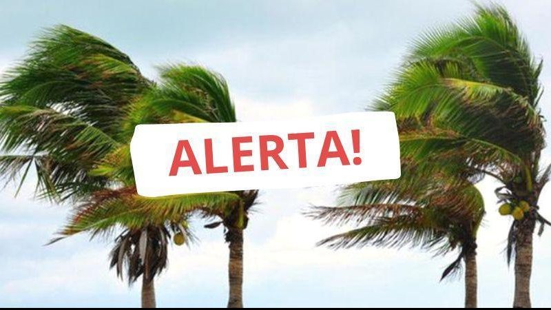 Ventos devem chegar ao litoral de São Paulo ainda nesta quarta-feira (10) Meteorologia mantém alerta para fortes ventos do ciclone no litoral de SP Coqueiros balançando com o vento e mensagem de "alerta!" em vermelho ao centro - Montagem/Reprodução