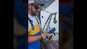 Pescador devolveu crustáceo ao mar Vídeo: pescador viraliza após fisgar lagosta azul rara pela 2º vez Pescador mostrando lagosta azul - Imagem: Reprodução / Blake Haass@Tiktok