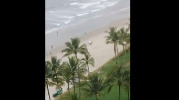 Reprodução