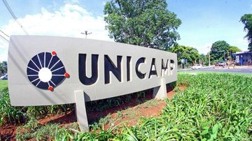 Thomaz Marostegan/Unicamp