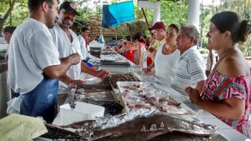 Divulgação/Prefeitura de Ubatuba