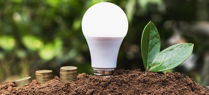 Elektro aconselha o consumidor a ter atenção no momento da compra de eletrodomésticos Projeto de Energia oferece troca de lâmpadas ineficientes por LED em Ilhabela lampada led - Foto: Neoenergia