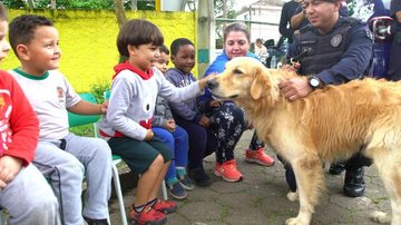 A criançada adorou interagir com o golden retriever Beile Cães da GCM fazem a alegria da criançada em São Vicente Golden retriever Beile junto de GCM e da criançada - Prefeitura de São Vicente