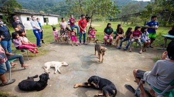 Cachorros da aldeia receberam chip e os humanos cuidados com a saúde em geral Aldeia Aldeia Tekoá Mirim com seus cachorros em uma roda de conversa - Divulgação