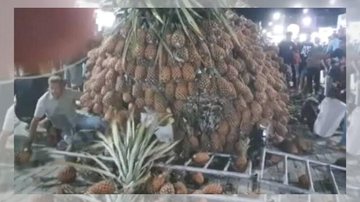 Voou abacaxi para tudo que foi lado em Pombos VÍDEO: Abacaxi gigante desaba sobre pessoas durante festa Momento em que estutura com abacaxis começa a desabar - Reprodução/Redes Sociais