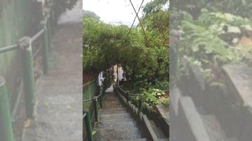 Árvore que caiu foi retirada no Morro do Pacheco Morros de Santos estão em estado de atenção devido às chuvas Escadaria de morro de Santos - Prefeitura de Santos