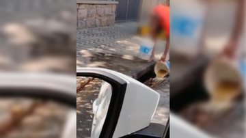 O proprietário do carrinho e responsável pela infração poderá quitar a multa com 50% de desconto até o dia 15 de dezembro Ambulante é multado em R$ 11 mil após descarte irregular de óleo de fritura e água suja em Guarujá Homem jogando óleo na rede de esgot - Divulgação/Prefeitura de Guarujá