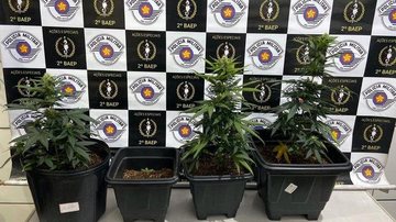 Divulgação/Polícia Militar