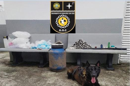 Cachorro auxiliou a GCM para encontrar a droga Droga apreendida Cão de guarda com drogas apreendidas - Divulgação