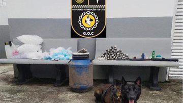 Cachorro auxiliou a GCM para encontrar a droga Droga apreendida Cão de guarda com drogas apreendidas - Divulgação