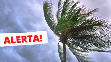 Rajadas devem começar na manhã desta quinta-feira (6) e seguir até a tarde de sexta (7) Alerta: ciclone no sul do país deve provocar ventos de até 75 km/h em todo o litoral de SP Foto de coqueiro balançando com o vento com céu nubldo e mensagem de "Alerta! - Montagem/Pexels