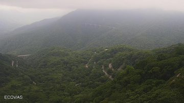 Km 43 da via Anchieta, trecho de serra Via Anchieta está com Operação Comboio no sentido litoral - Ecovias