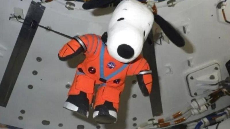 Momento em que Snoopy flutuou com a gravidade zero Cãozinho Snoopy viaja à Lua Snoopy vestido de astronauta e flutuando na gravidade zero da cápsula Orion - Reprodução/Nasa