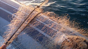 Flagrante ocorreu na última sexta-feira (18) Peixes vivos que estavam presos em rede de pesca são devolvidos ao mar em São Vicente Rede de pesca em embarcação - Comunicação Social da Polícia Militar Ambiental Marítima de SP