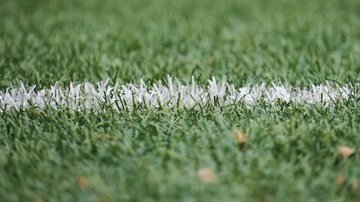 Os serviços de fiscalização de trânsito, engenharia de tráfego e coleta de lixo não terão alterações Campo de futebol Gramado de um campo de futebol - Divulgação