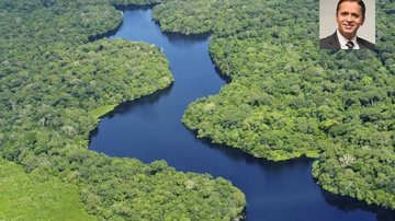 Imagem Créditos de carbono em reserva ambiental pública