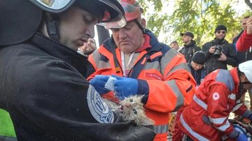 Momento em que o gatinho recebe os primeiros socorros dos bombeiros em Kiev, na Ucrânia VÍDEO: Gatinho é resgatado com vida após bombardeio na Ucrânia - Reprodução/ Oleksandr Klymenko - Reuters