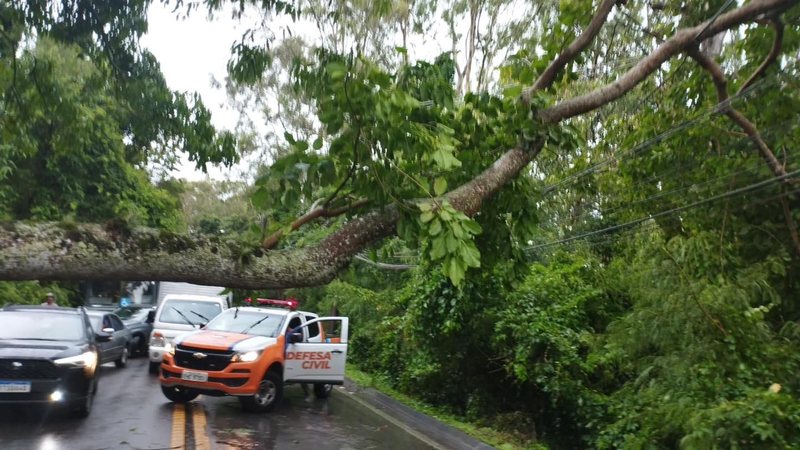 Queda de árvores interrompe trecho da Rio-Santos em São Sebastião Queda de árvores interrompe trânsito na Rio-Santos, em São Sebastião queda de arvore - Foto: Facebook Felipe Augusto