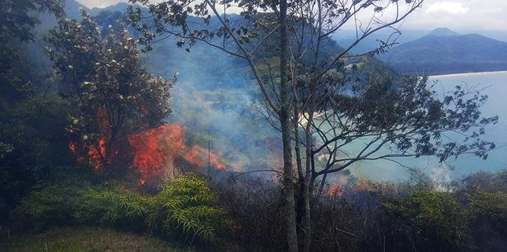 Incêndio atinge encosta próximo a Rodovia Rio-Santos no Litoral Norte Incendio em Ubatuba - Divulgação Defesa Civil