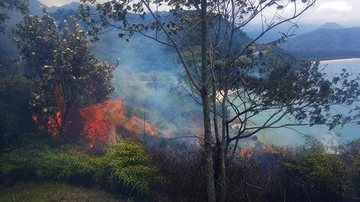 Incêndio atinge encosta próximo a Rodovia Rio-Santos no Litoral Norte Incendio em Ubatuba - Divulgação Defesa Civil