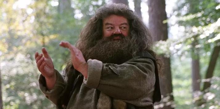 Robbie Coltrane viveu Hagrid nos cinemas - Reprodução/Internet