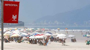Boletim de balneabilidade das praias paulistas - Reprodução