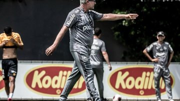 Imagem Santos estreia amanhã pelo Campeonato Paulista