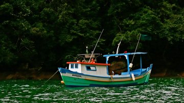 Imagem do barquinho de pesca, tão característico de nossa região Olá! Fique bem informado nesta terça-feira (13) com o seu resumo de notícias Barquinho de pesca - Unsplash